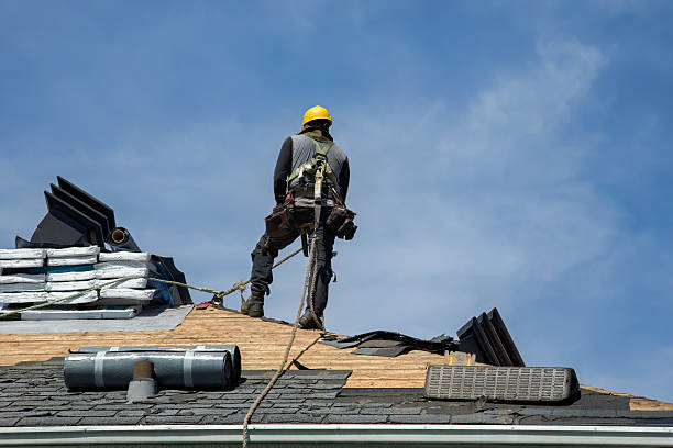 Professional Roof Repair technician working in Bellvue, CO